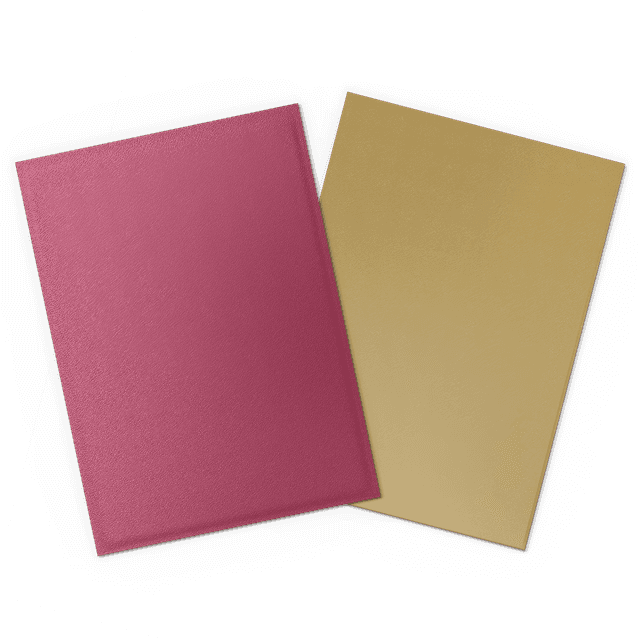 Dragon Shield 100 Count Sleeves Standard Dual Matte 25th Anniversary Special Edition - Red Gold