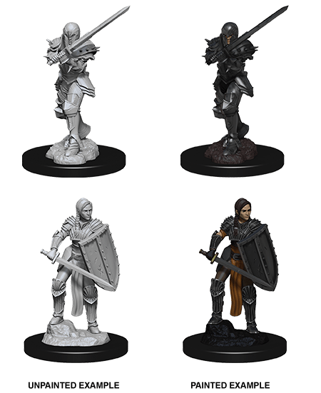 Dungeons & Dragons Nolzur's Marvelous Miniatures: Human Female Fighter (Wave 9) - Gamescape
