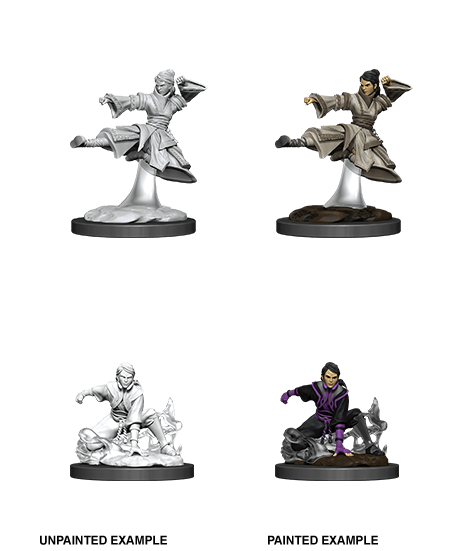 Dungeons & Dragons Nolzur's Marvelous Miniatures: Human Female Monk (Wave 11) - Gamescape