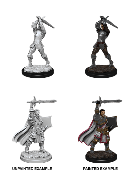 Dungeons & Dragons Nolzur's Marvelous Miniatures: Human Male Paladin (Wave 12) - Gamescape