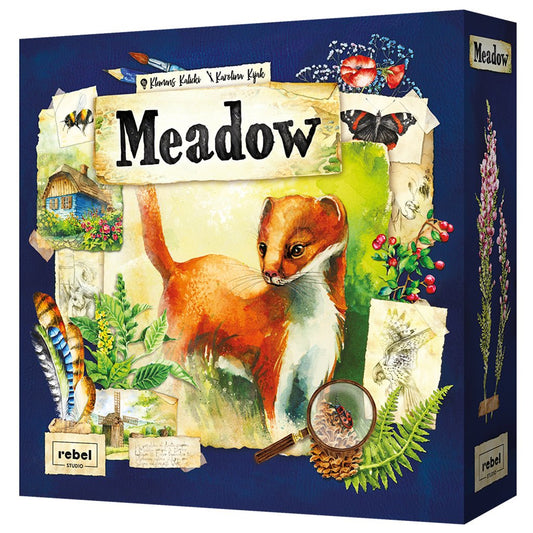 Meadow - Gamescape
