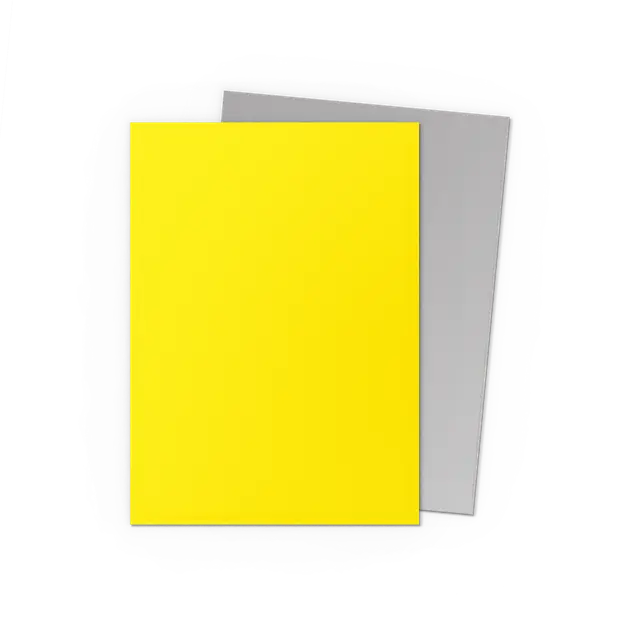 Dragon Shield 100 Count Sleeves Standard Dual Matte - Yellow & Silver