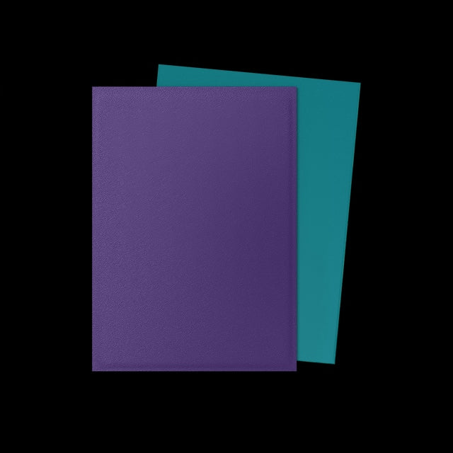 Dragon Shield 100 Count Sleeves Standard Dual Matte - Soul & Petrol