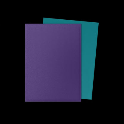Dragon Shield 100 Count Sleeves Standard Dual Matte - Soul & Petrol