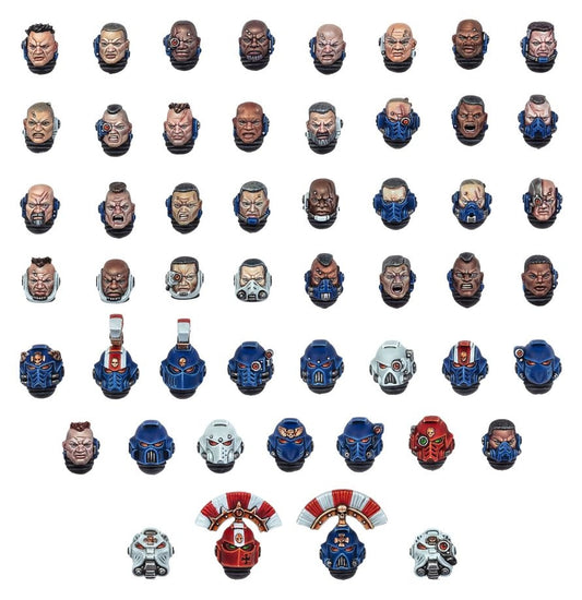 Picture of the types of Space Marine heads included in the Space Marines Heads kit