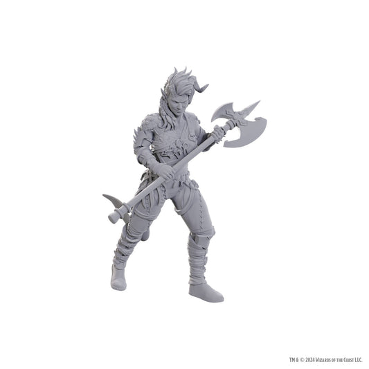 Dungeons & Dragons Nolzur's Marvelous Miniatures: Baldur's Gate Special Edition - Wyll & Karlach