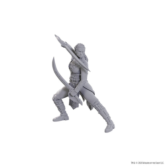 Dungeons & Dragons Nolzur's Marvelous Miniatures: Baldur's Gate Special Edition - Jaheira & Halsin