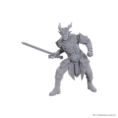 Dungeons & Dragons Nolzur's Marvelous Miniatures: Baldur's Gate Special Edition - Ulder Ravengard & Zevlor