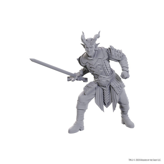 Dungeons & Dragons Nolzur's Marvelous Miniatures: Baldur's Gate Special Edition - Ulder Ravengard & Zevlor