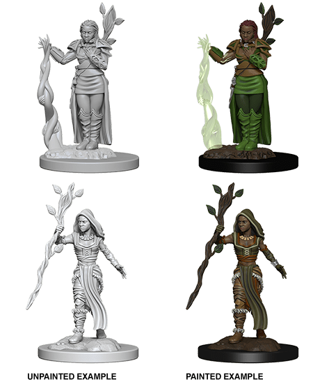 Dungeons & Dragons Nolzur's Marvelous Miniatures: Human Female Druid (Wave 2) - Gamescape