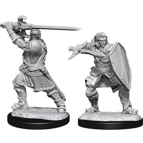 Dungeons & Dragons Nolzur's Marvelous Miniatures: Human Paladin Male (Wave 14) - Gamescape