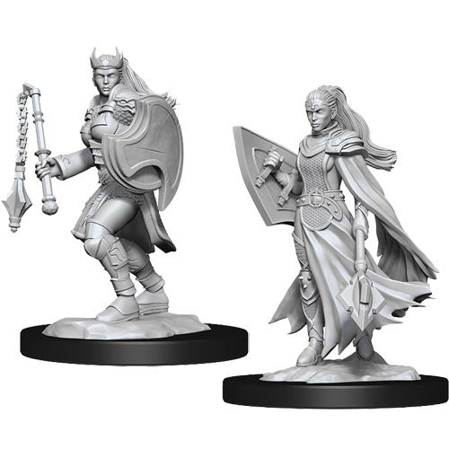 Dungeons & Dragons Nolzur's Marvelous Miniatures: Kalashtar Cleric Female (Wave 14) - Gamescape