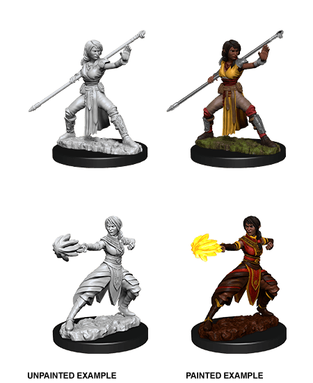 Nolzur's Marvelous Miniatures: Female Half-Elf Monk (Wave 10) - Gamescape