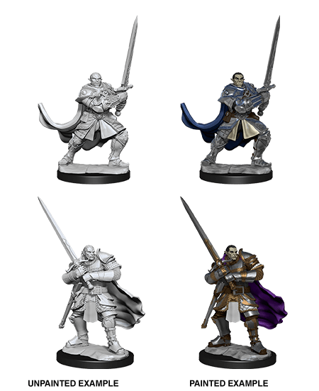 Nolzur's Marvelous Miniatures - Nain Mâle Paladin Non Peint - Figurines D&D WizKids Hautement Détailées