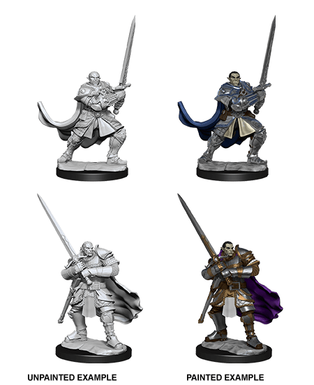 Nolzur's Marvelous Miniatures: Half-Orc Paladin Male (Wave 15) - Gamescape