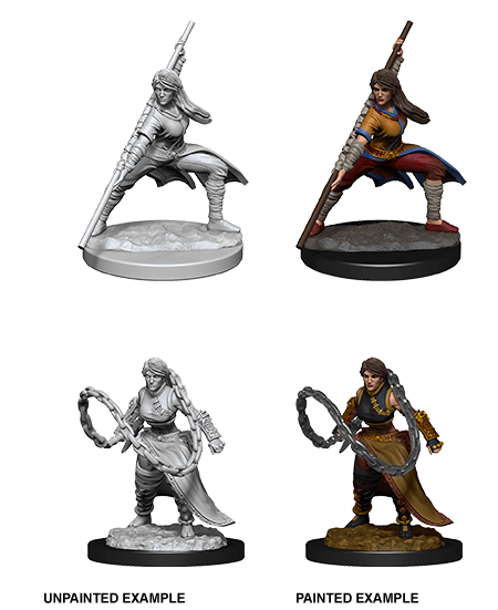 Nolzur's Marvelous Miniatures: Human Monk Female (Wave 14) - Gamescape