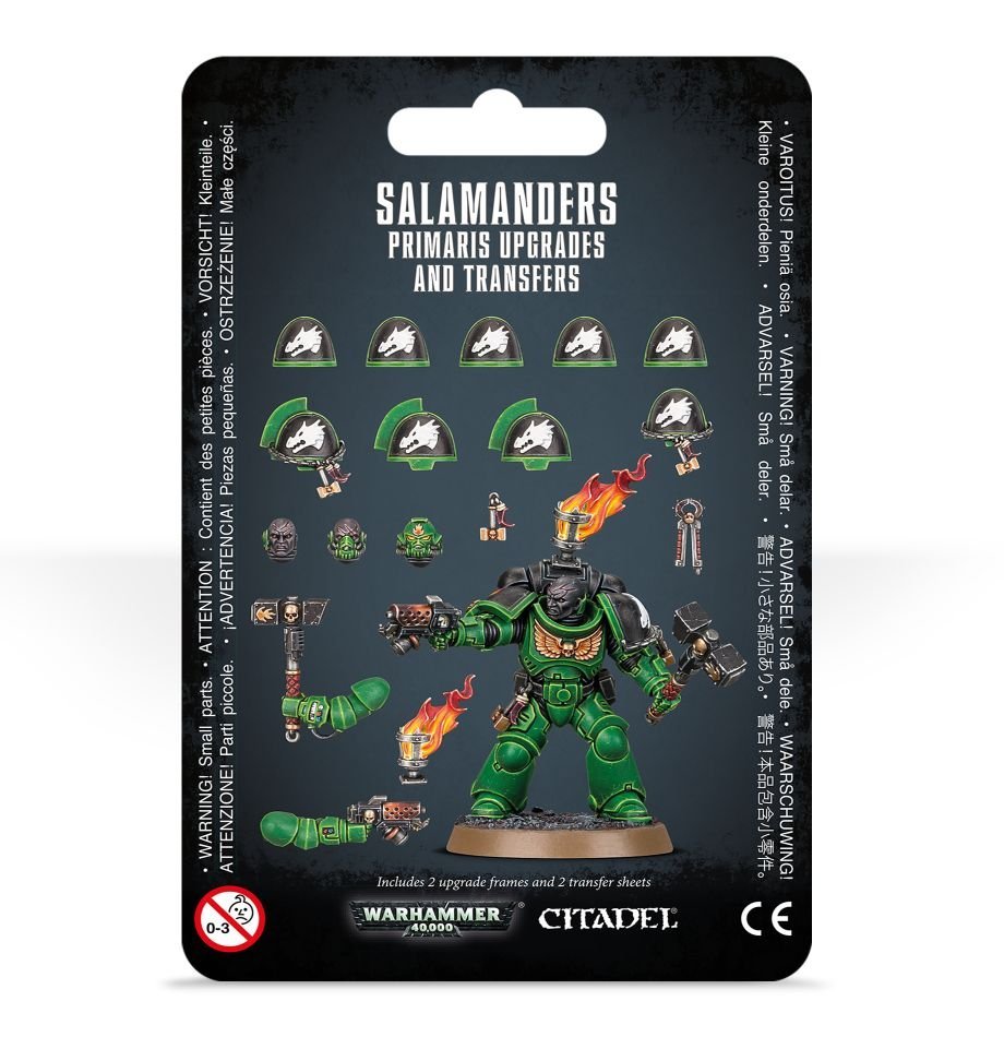 Salamanders: Upgrades & Transfers - Gamescape